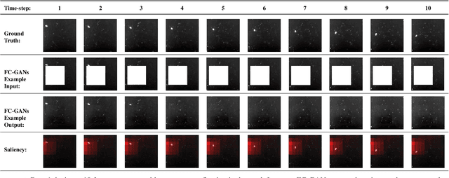Figure 2 for The Automated Inspection of Opaque Liquid Vaccines
