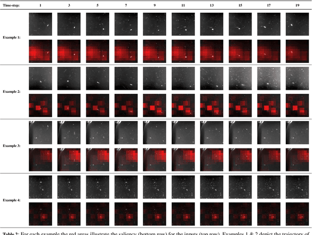 Figure 4 for The Automated Inspection of Opaque Liquid Vaccines