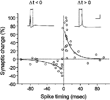 Figure 1 for A Deep 2-Dimensional Dynamical Spiking Neuronal Network for Temporal Encoding trained with STDP