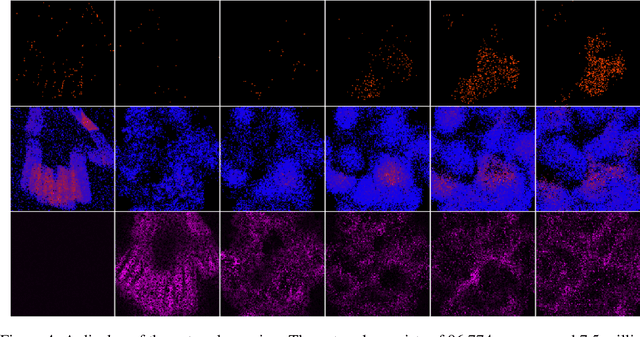 Figure 4 for A Deep 2-Dimensional Dynamical Spiking Neuronal Network for Temporal Encoding trained with STDP