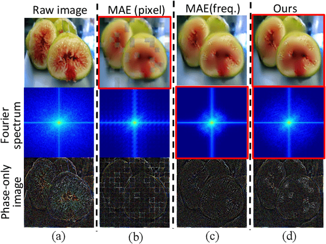 Figure 1 for The Devil is in the Frequency: Geminated Gestalt Autoencoder for Self-Supervised Visual Pre-Training