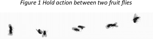 Figure 2 for Computer-Aided Automated Detection of Gene-Controlled Social Actions of Drosophila