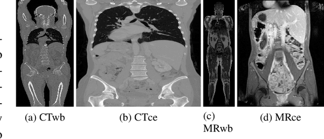 Figure 3 for A New Approach for Explainable Multiple Organ Annotation with Few Data