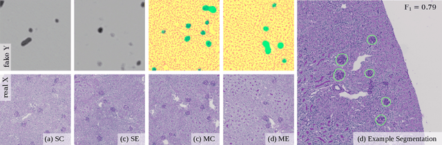 Figure 4 for Unsupervisedly Training GANs for Segmenting Digital Pathology with Automatically Generated Annotations