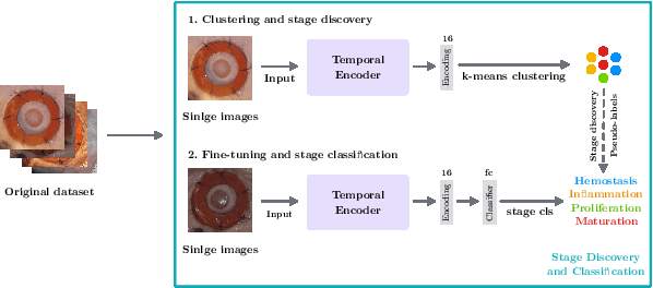 Figure 1 for HealNet -- Self-Supervised Acute Wound Heal-Stage Classification