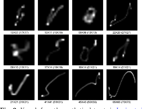 Figure 3 for Blind Image Deblurring with Unknown Kernel Size and Substantial Noise