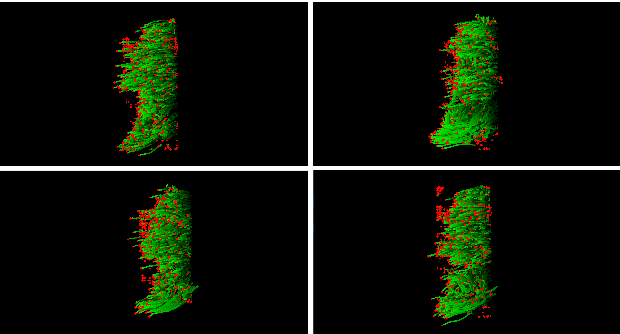 Figure 1 for Fisher Motion Descriptor for Multiview Gait Recognition