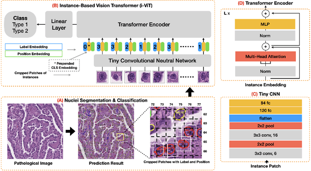 Figure 3 for Instance-based Vision Transformer for Subtyping of Papillary Renal Cell Carcinoma in Histopathological Image