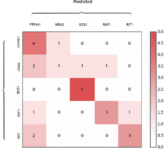 Figure 4 for DeepGestalt - Identifying Rare Genetic Syndromes Using Deep Learning