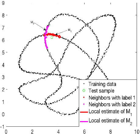 Figure 2 for Classification via local manifold approximation