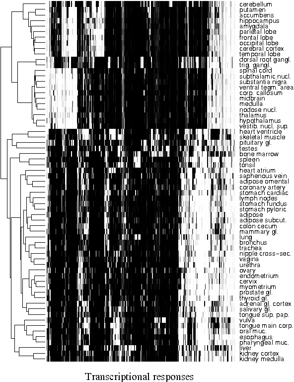 Figure 4 for Global modeling of transcriptional responses in interaction networks