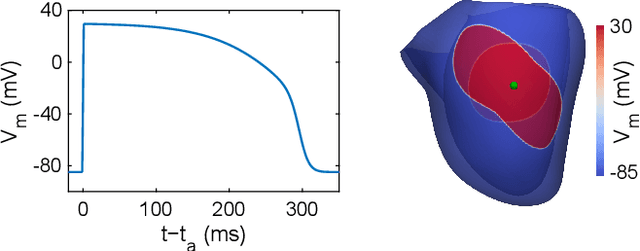 Figure 2 for Reducing Line-of-block Artifacts in Cardiac Activation Maps Estimated Using ECG Imaging: A Comparison of Source Models and Estimation Methods