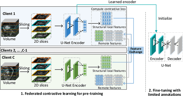 Figure 1 for Federated Contrastive Learning for Volumetric Medical Image Segmentation