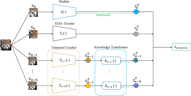 Figure 3 for Temporal Knowledge Consistency for Unsupervised Visual Representation Learning