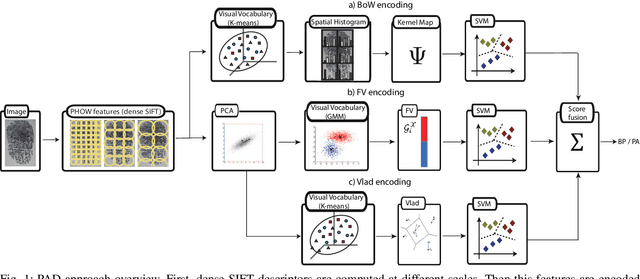 Figure 1 for Fingerprint Presentation Attack Detection Based on Local Features Encoding for Unknown Attacks
