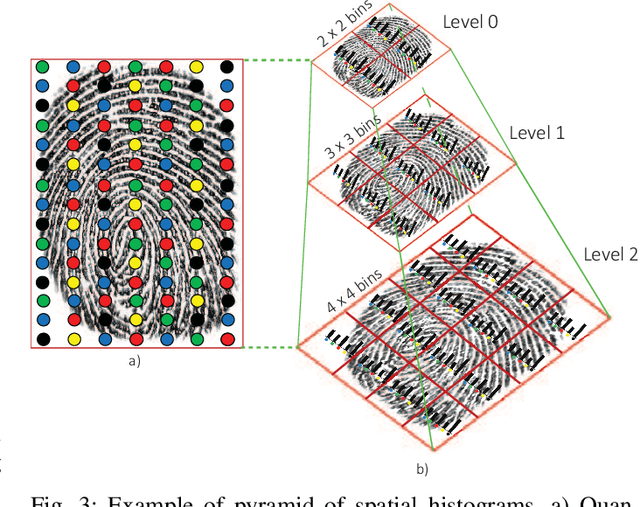 Figure 3 for Fingerprint Presentation Attack Detection Based on Local Features Encoding for Unknown Attacks