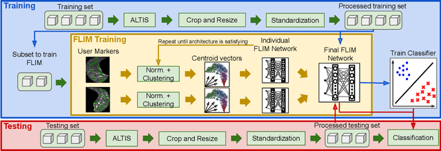 Figure 2 for CNN Filter Learning from Drawn Markers for the Detection of Suggestive Signs of COVID-19 in CT Images