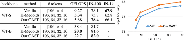 Figure 2 for CAST: Concurrent Recognition and Segmentation with Adaptive Segment Tokens