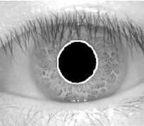 Figure 2 for A new scheme of signature extraction for iris authentication