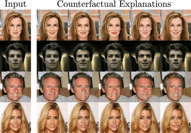 Figure 3 for Diffusion Models for Counterfactual Explanations