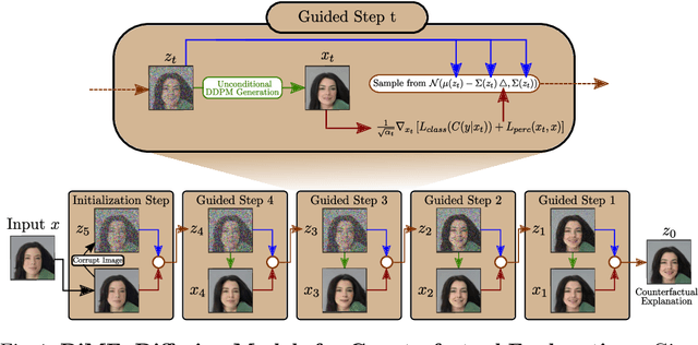 Figure 1 for Diffusion Models for Counterfactual Explanations