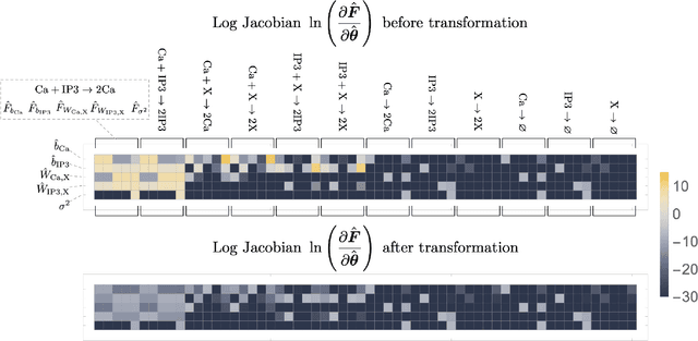 Figure 2 for Physics-based machine learning for modeling stochastic IP3-dependent calcium dynamics