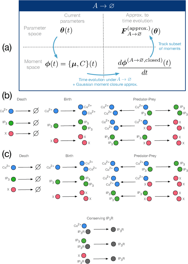 Figure 3 for Physics-based machine learning for modeling stochastic IP3-dependent calcium dynamics