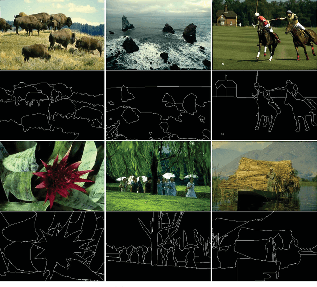 Figure 4 for FLIC: Fast Linear Iterative Clustering with Active Search