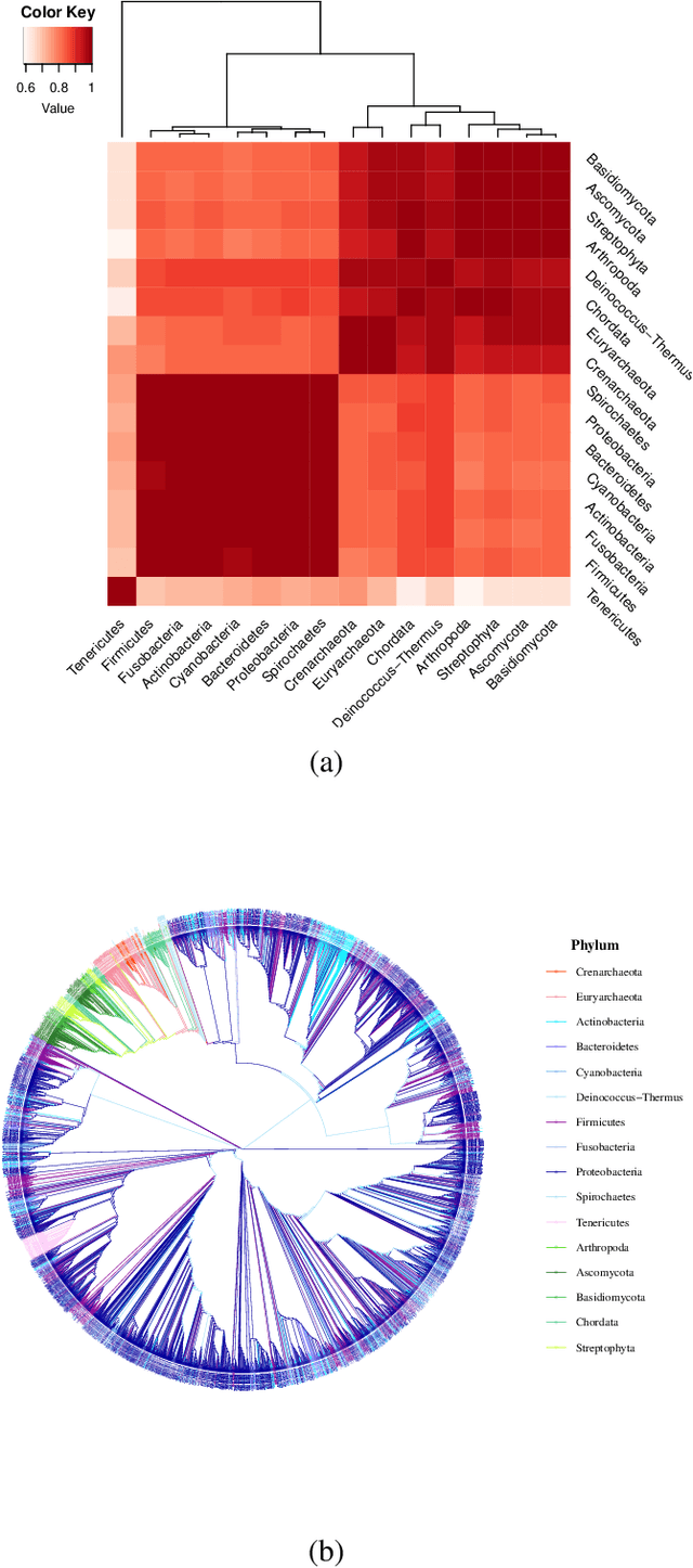 Figure 3 for Characterizing the organizational diversity of protein interaction networks across three domains of life