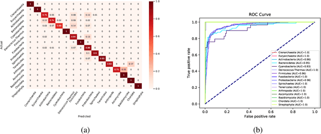 Figure 4 for Characterizing the organizational diversity of protein interaction networks across three domains of life