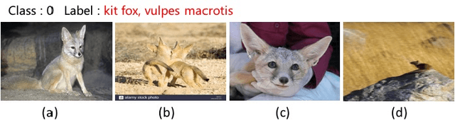 Figure 3 for Learning from Large-scale Noisy Web Data with Ubiquitous Reweighting for Image Classification