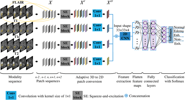 Figure 3 for Convolutional 3D to 2D Patch Conversion for Pixel-wise Glioma Segmentation in MRI Scans
