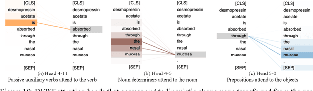 Figure 3 for Fine-Tuning BERT for Automatic ADME Semantic Labeling in FDA Drug Labeling to Enhance Product-Specific Guidance Assessment
