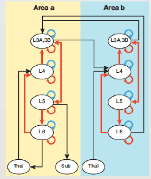Figure 1 for A neuro-inspired architecture for unsupervised continual learning based on online clustering and hierarchical predictive coding