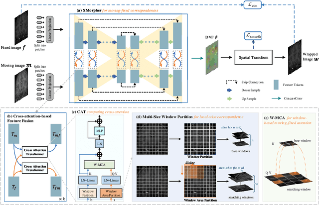Figure 3 for XMorpher: Full Transformer for Deformable Medical Image Registration via Cross Attention