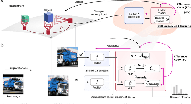 Figure 1 for Self-Supervised Learning Through Efference Copies