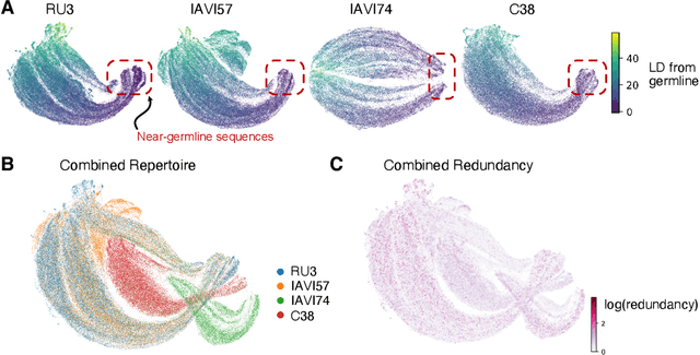 Figure 3 for Deciphering antibody affinity maturation with language models and weakly supervised learning