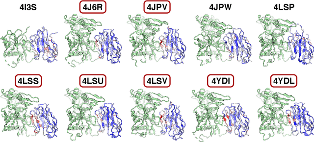 Figure 4 for Deciphering antibody affinity maturation with language models and weakly supervised learning