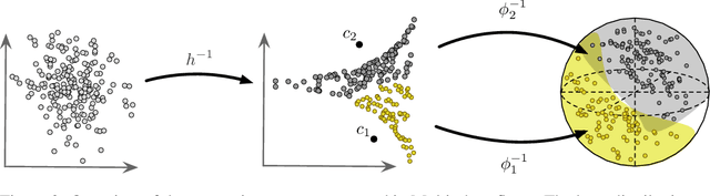 Figure 4 for Multi-chart flows