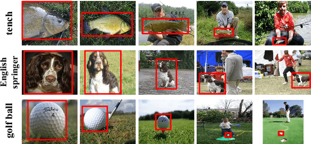 Figure 1 for Multi-view Feature Augmentation with Adaptive Class Activation Mapping