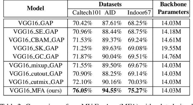 Figure 4 for Multi-view Feature Augmentation with Adaptive Class Activation Mapping