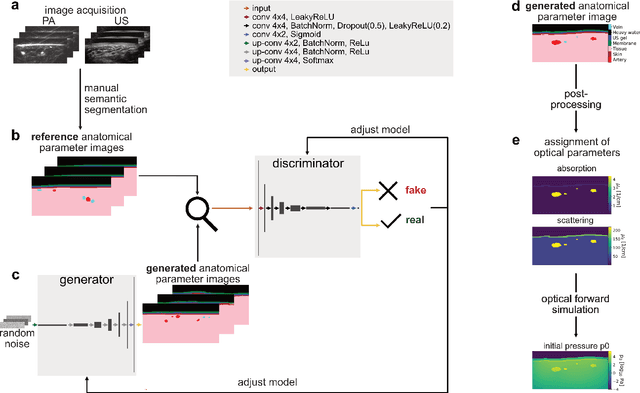 Figure 3 for Data-driven generation of plausible tissue geometries for realistic photoacoustic image synthesis