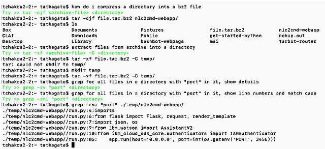Figure 2 for CLAI: A Platform for AI Skills on the Command Line