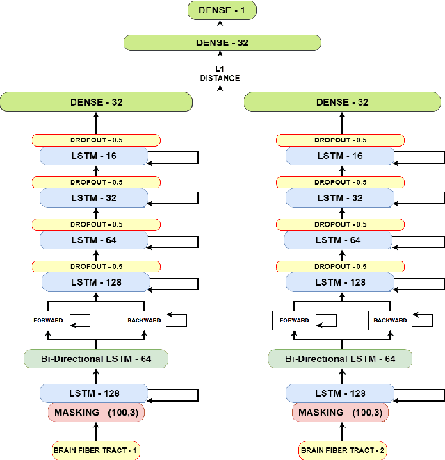 Figure 3 for Siamese LSTM based Fiber Structural Similarity Network (FS2Net) for Rotation Invariant Brain Tractography Segmentation