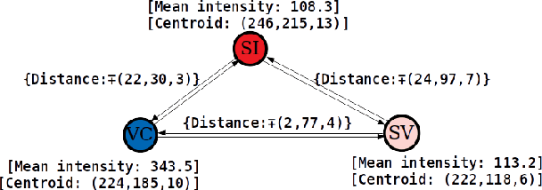 Figure 2 for A Structural Graph-Based Method for MRI Analysis