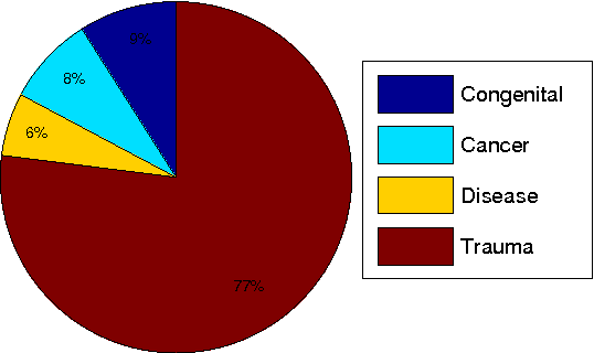 Figure 1 for Leveraging Over Priors for Boosting Control of Prosthetic Hands