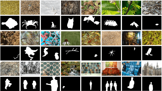 Figure 1 for Anabranch Network for Camouflaged Object Segmentation