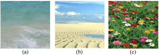 Figure 1 for Perspective Texture Synthesis Based on Improved Energy Optimization