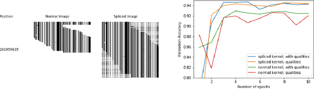 Figure 1 for Interlacing Personal and Reference Genomes for Machine Learning Disease-Variant Detection