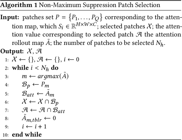 Figure 3 for Trusted Multi-Scale Classification Framework for Whole Slide Image